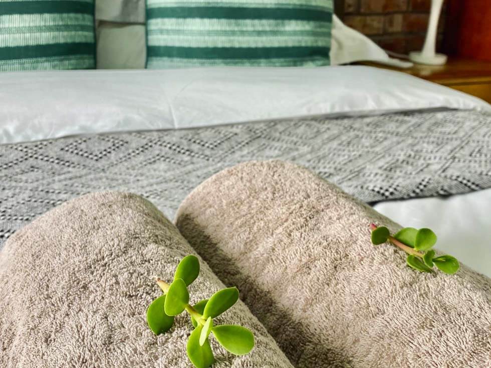 Addo Accommodation | Game Lodge Accommodation | Addo Elephant National Park